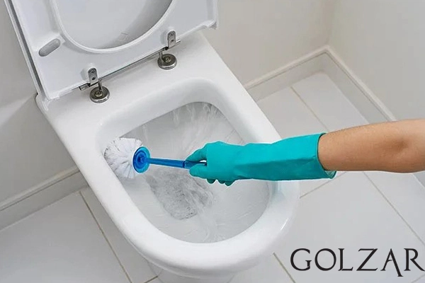 از بین بردن جرم توالت فرنگی