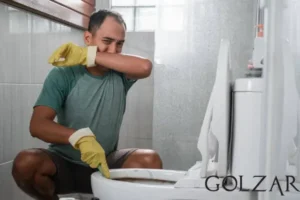 از بین بردن بوی بد توالت فرنگی